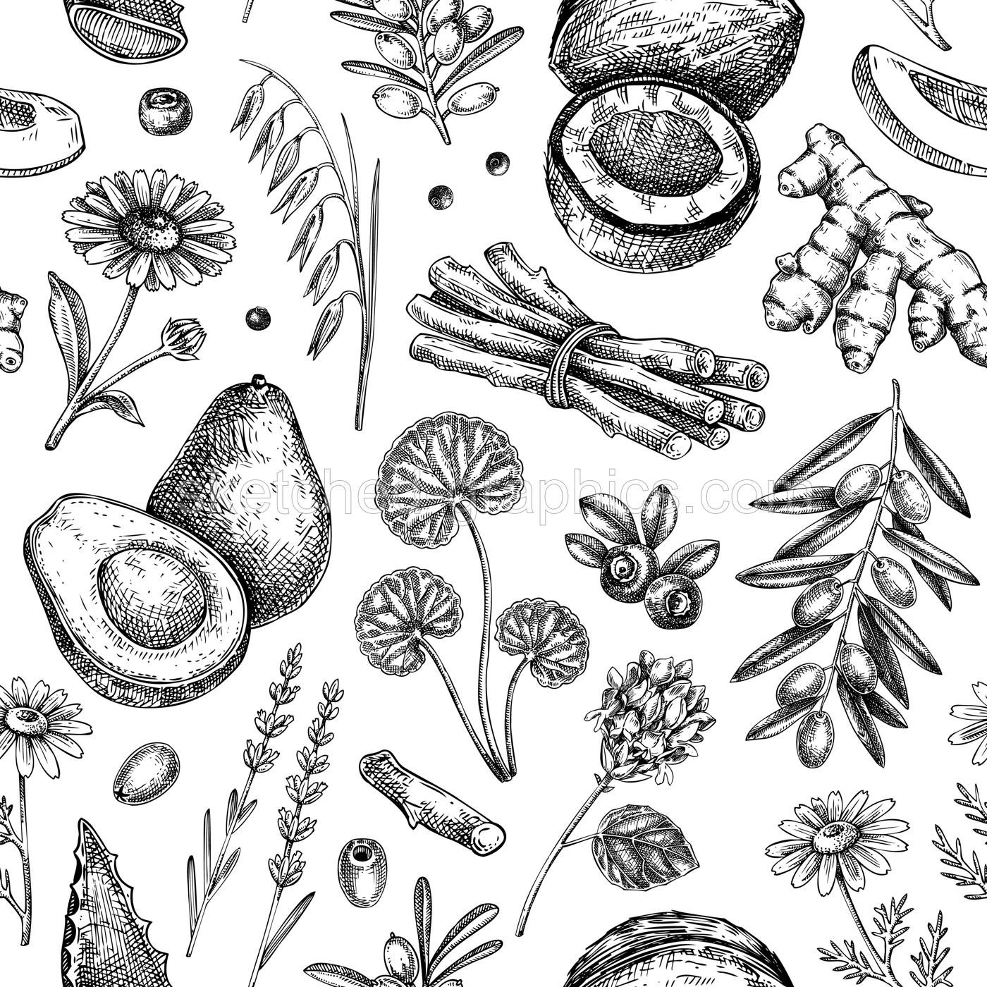 Medicinal plants seamless pattern. Natural ingredients background. Organic cosmetics design in sketched style.  NOT AI generated Illustration